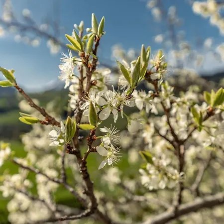 Gaestehaus Huber Fruehstueckspension Ubytování v soukromí